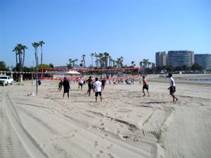 Firemen Playing Volleyball